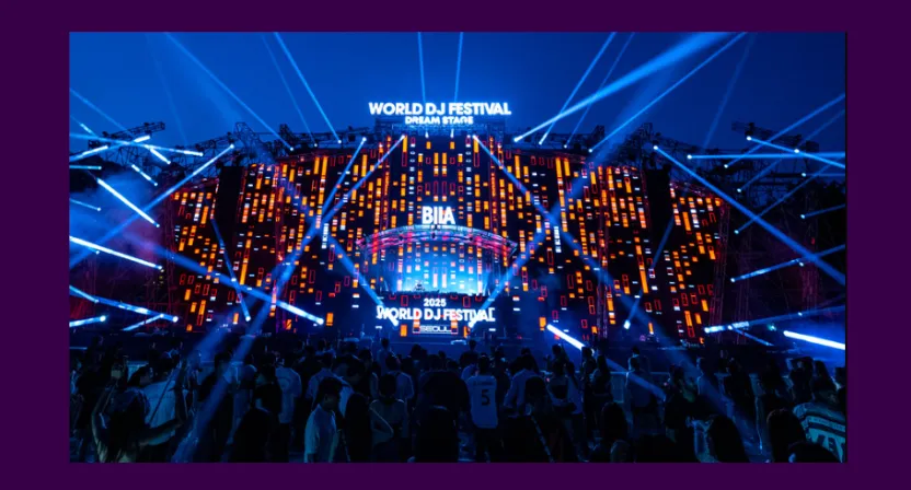 World DJ Festival stage and audience